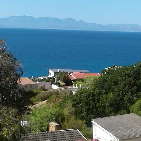 Froggy Bay Is The Best All The Way! Simon's Town Ngoại thất bức ảnh